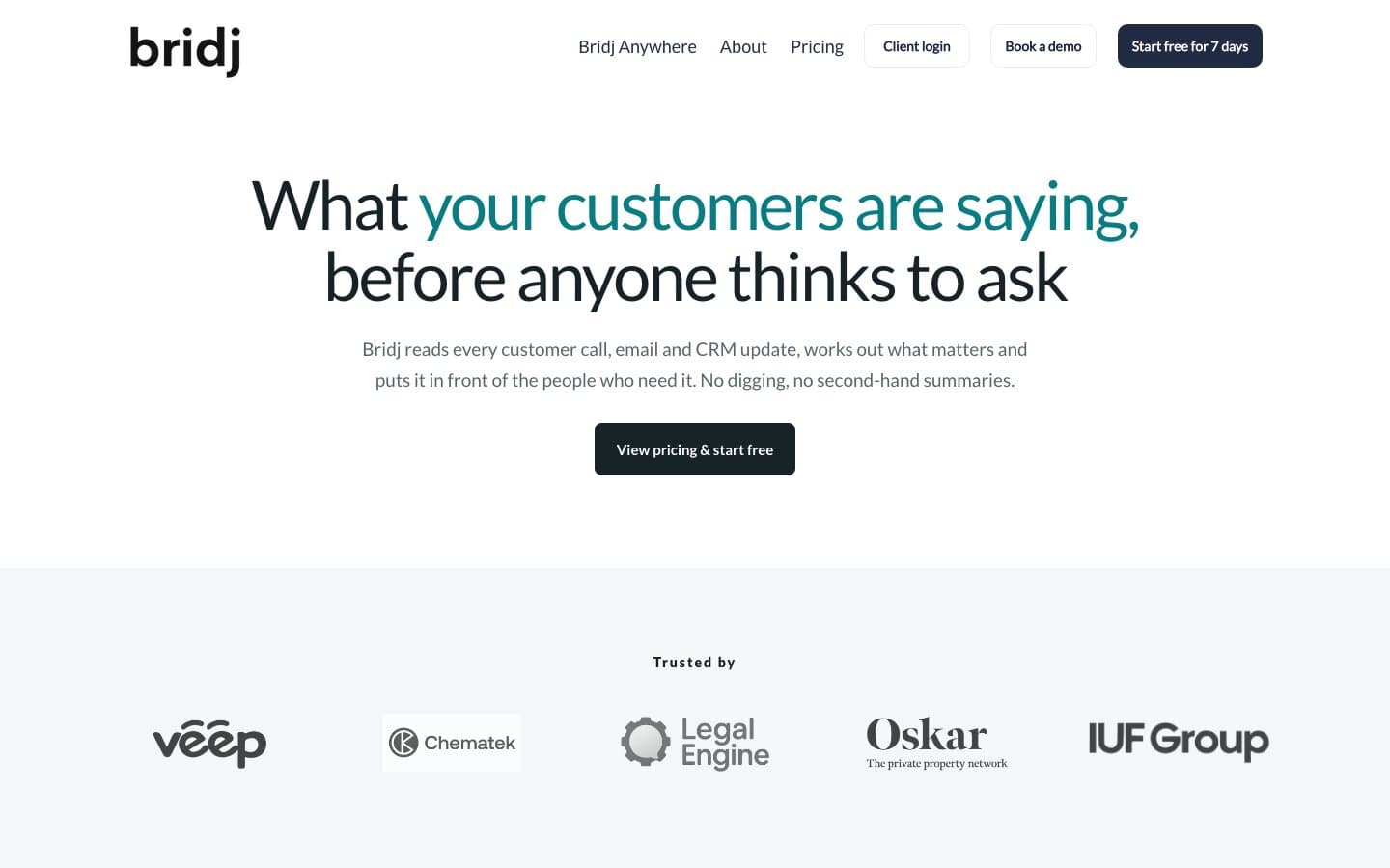 Bridj's site - 'What your customers are saying, before anyone thinks to ask'